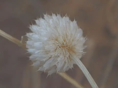PA103864.JPG