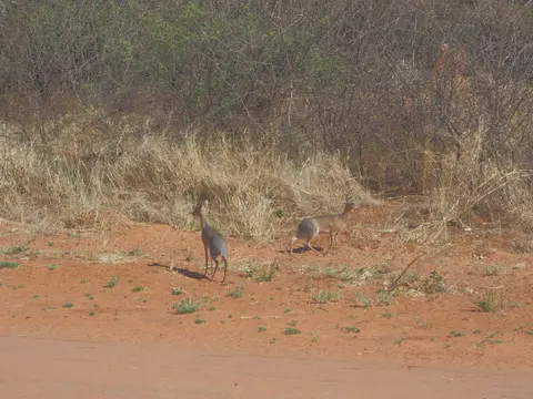 PA103880.JPG