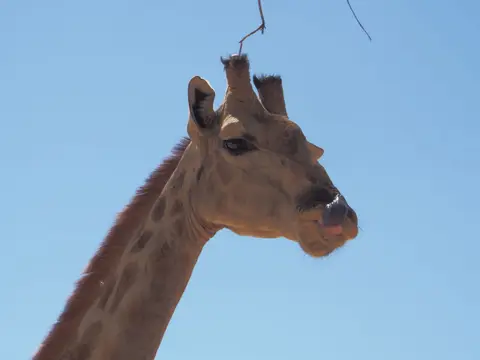 PA110477.JPG