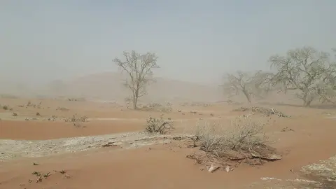 k-20180929_111901.jpg