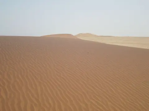 k-DSCN2806.JPG