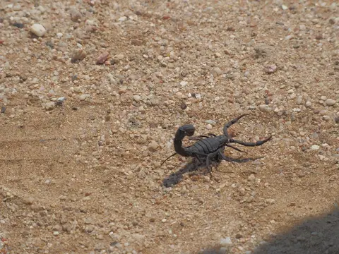 k-PA022090.JPG