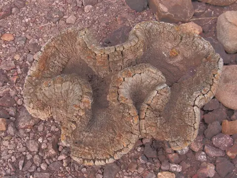 k-PA052459.JPG