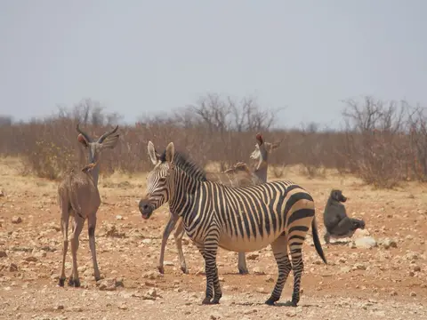 k-PA072903.JPG