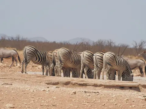 k-PA072919.JPG