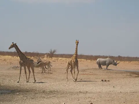 k-PA083185.JPG