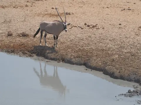 k-PA083301.JPG