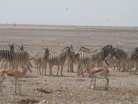 k-PA094060.JPG