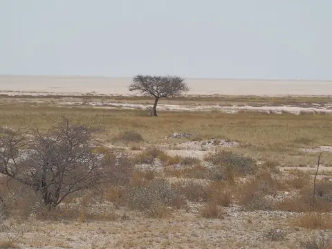 k-PA094189.JPG