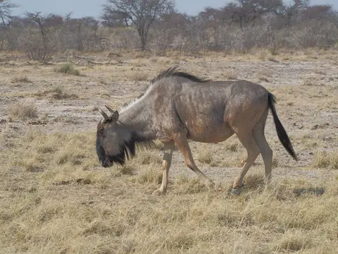 k-PA104715.JPG