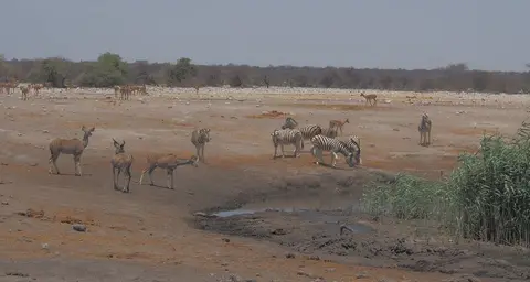 k-PA104895.JPG
