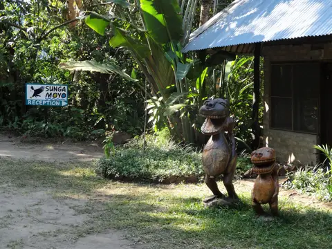 S-reception.jpg