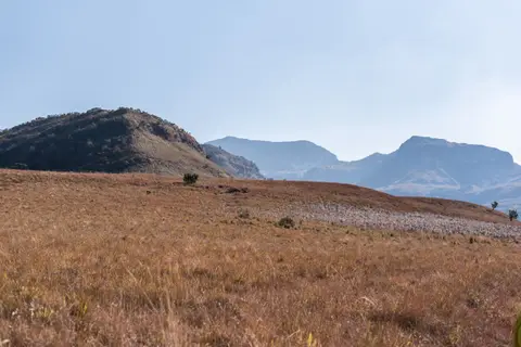 _DSC5504.jpg