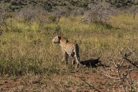 _MG_1829.jpg