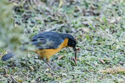 _MG_2808.jpg
