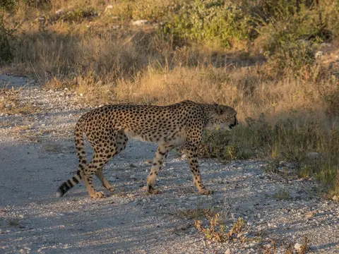 k-Namibia2019(370).jpg