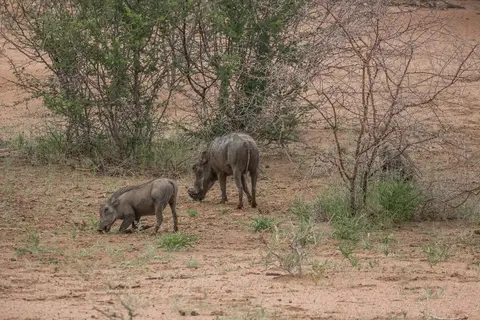 k-NamibiaimFrühjahr2019(315).jpg