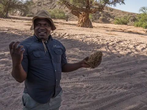 k-NamibiaimFrühjahr2019(427).jpg