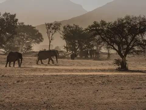 k-NamibiaimFrühjahr2019(429).jpg