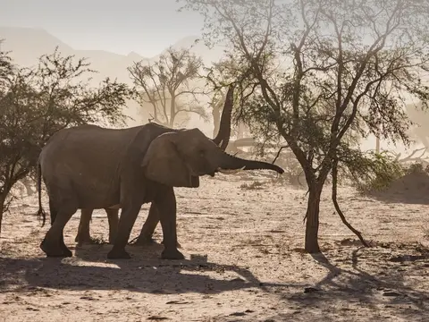 k-NamibiaimFrühjahr2019(432).jpg