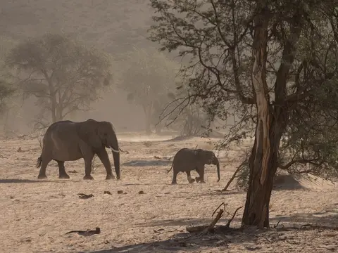 k-NamibiaimFrühjahr2019(433).jpg