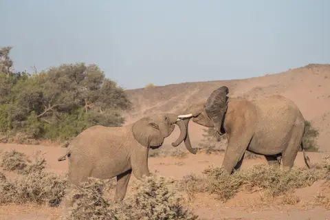 k-NamibiaimFrühjahr2019(443).jpg