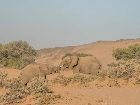 k-NamibiaimFrühjahr2019(444).jpg