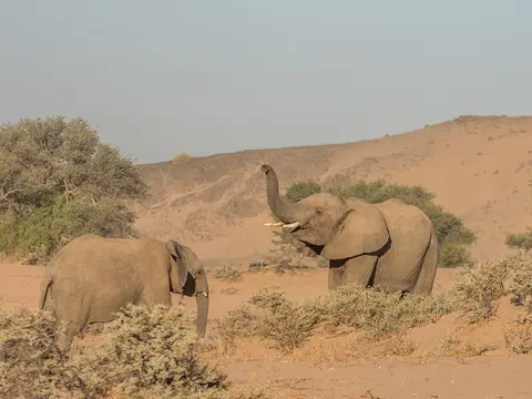 k-NamibiaimFrühjahr2019(445).jpg