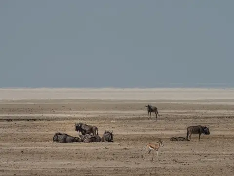 k-NamibiaimFrühjahr2019(496).jpg