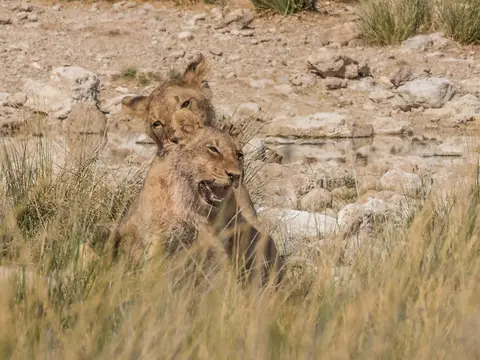 k-NamibiaimFrühjahr2019(507).jpg