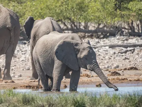 k-NamibiaimFrühjahr2019(543).jpg