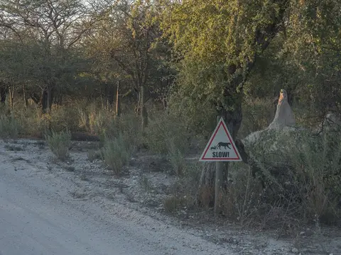 k-NamibiaimFrühjahr2019(561).jpg