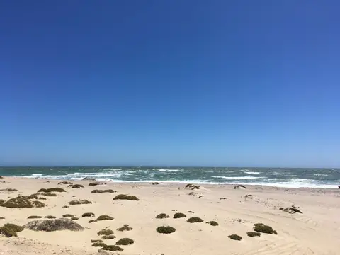 IMG_0590.jpg
