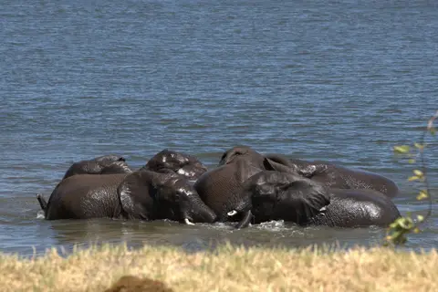 23.1SafariimZambesiNationalparkinSimbabwe.jpg