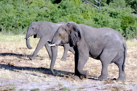 AmWasserlochVerneys.JPG