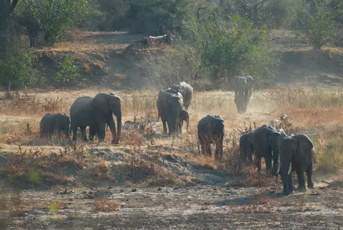 MapungubweNP-KalahariCalling.jpg