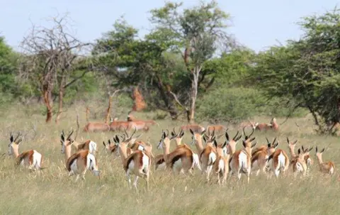 otjiwaLodge.jpg