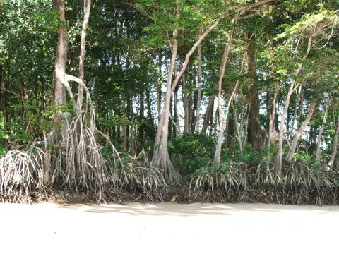 DSCF1012.JPG