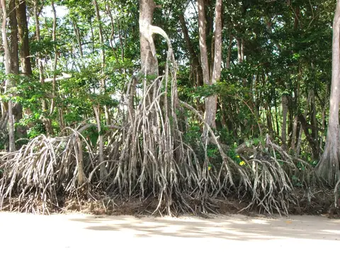 DSCF1013.JPG