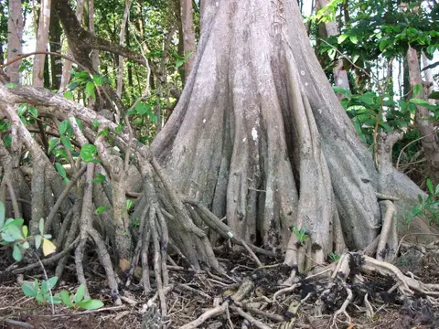 DSCF1017.JPG