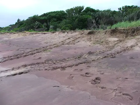 DSCF1043.JPG