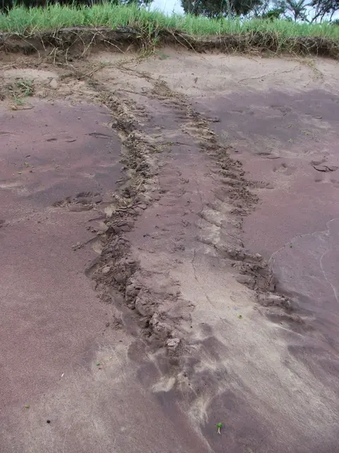 DSCF1044.JPG
