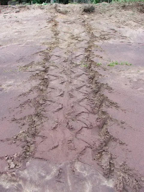 DSCF1045.JPG