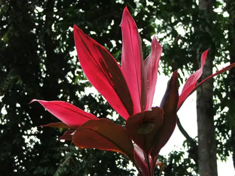 DSCF1098.JPG