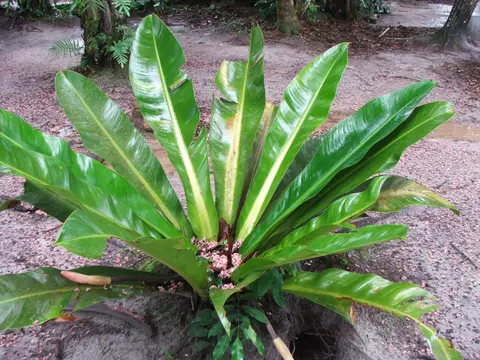 DSCF1147.JPG