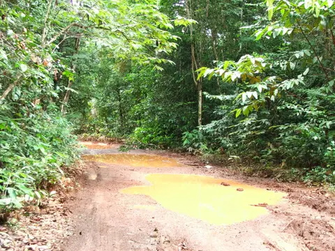 DSCF1166.JPG