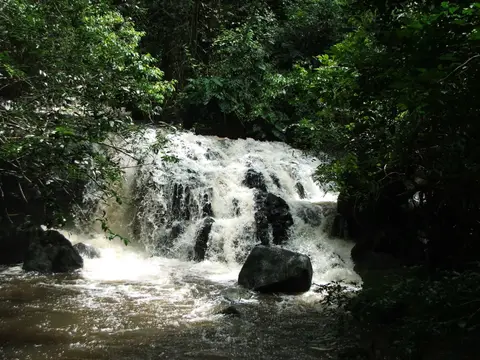 DSCF1264.JPG