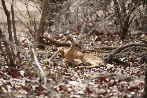 Afrika2014_1712.JPG
