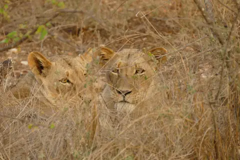 Afrika2014_1809.JPG