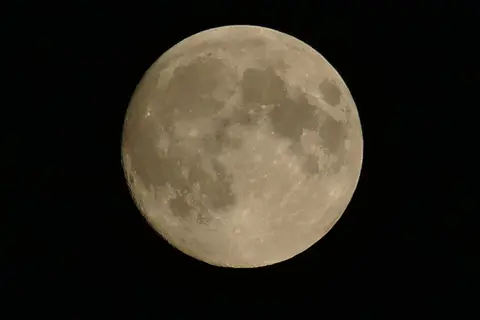 FC17D286-4EB5-45B8-8E9D-27F4AB4520FF.jpeg